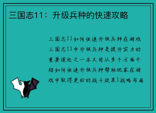 三国志11：升级兵种的快速攻略